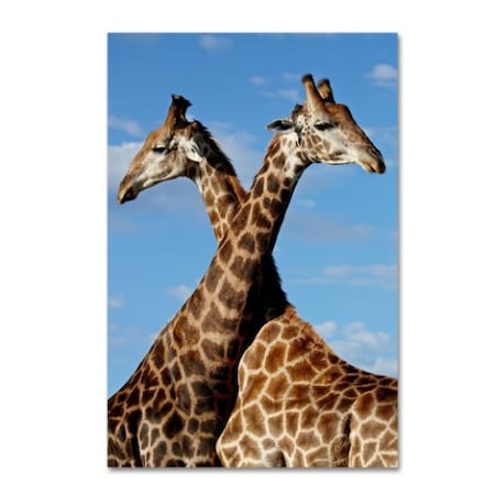 Robert Harding Picture Library 'Two Giraffes' Canvas Art,22x32